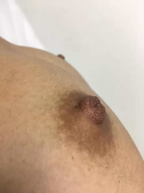 I heard YOU love to suck on brown Asian nipples…well, help yourself!