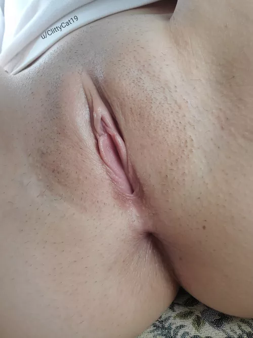 I hope a pussy pic a day can keep the doctor away. Let's try it and see! (f) I hope a pussy pic a day can keep the doctor away. Let's try it and see! (f)