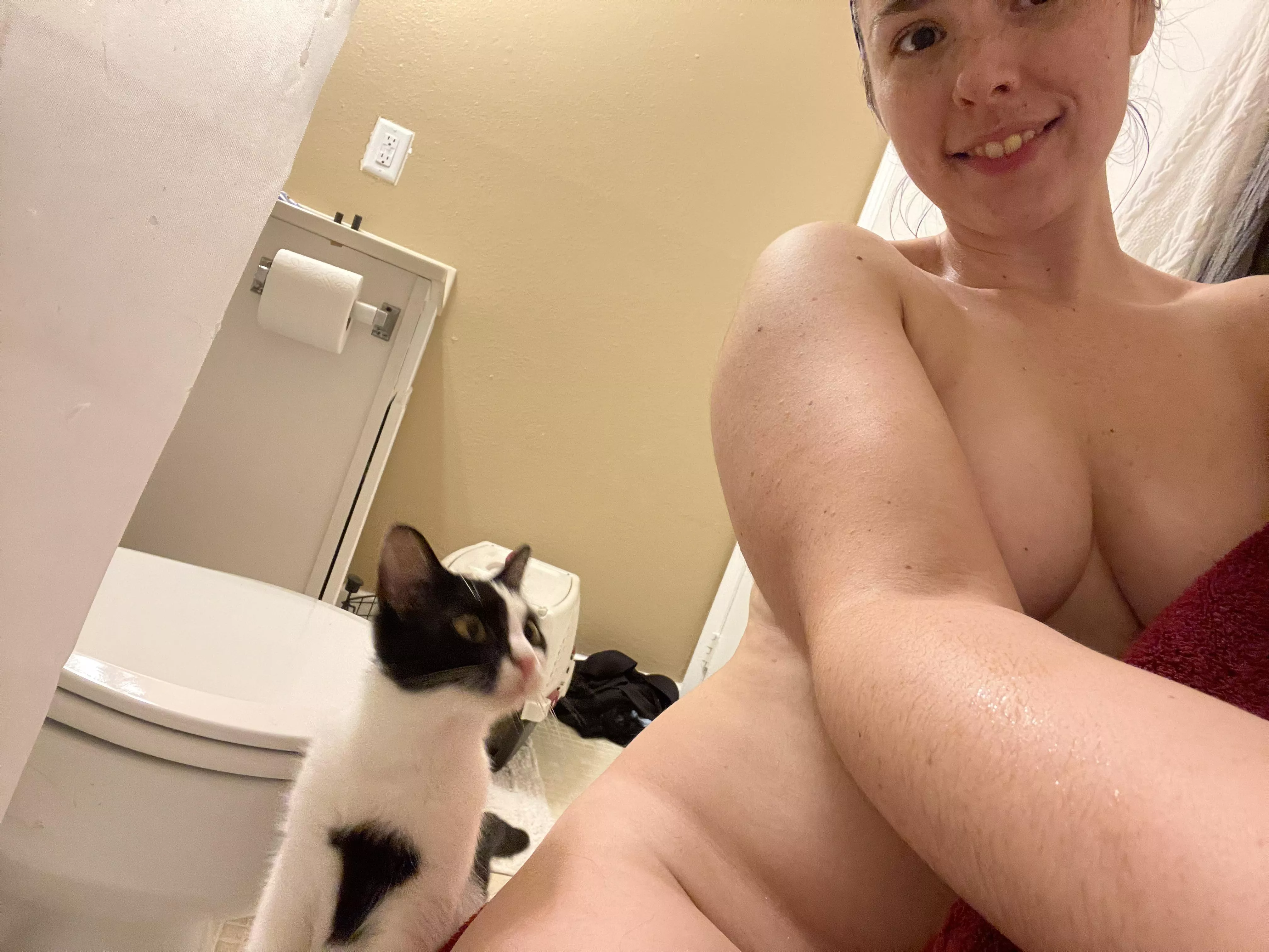 I just adopted a kitten!!! 😻 I just adopted a kitten!!! 😻