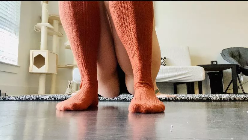 I just want someone to kiss my toes and worship them I just want someone to kiss my toes and worship them