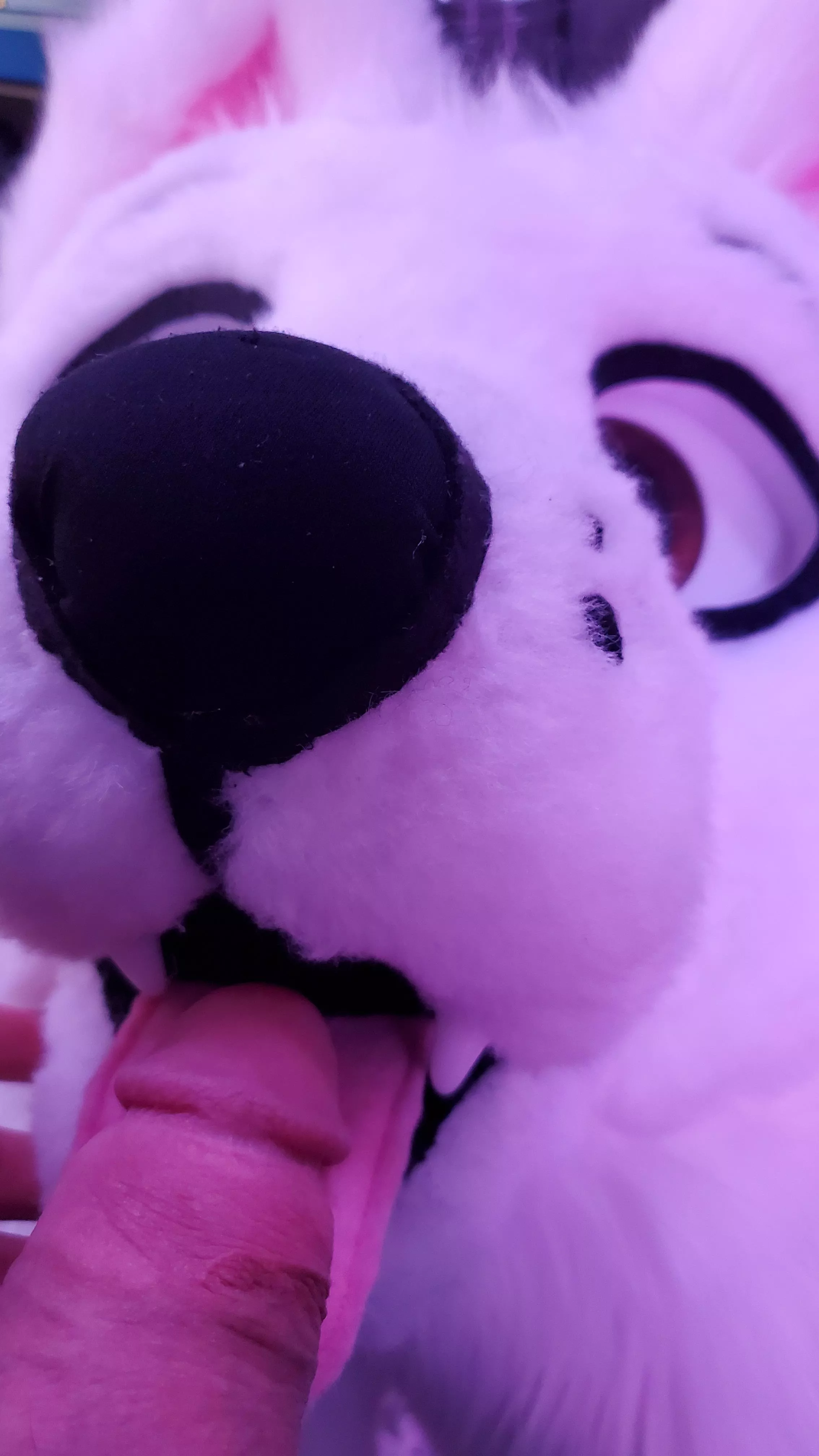 I know this is what alot of you'd like to do to me. So heres this to drool over. X3 I know this is what alot of you'd like to do to me. So heres this to drool over. X3