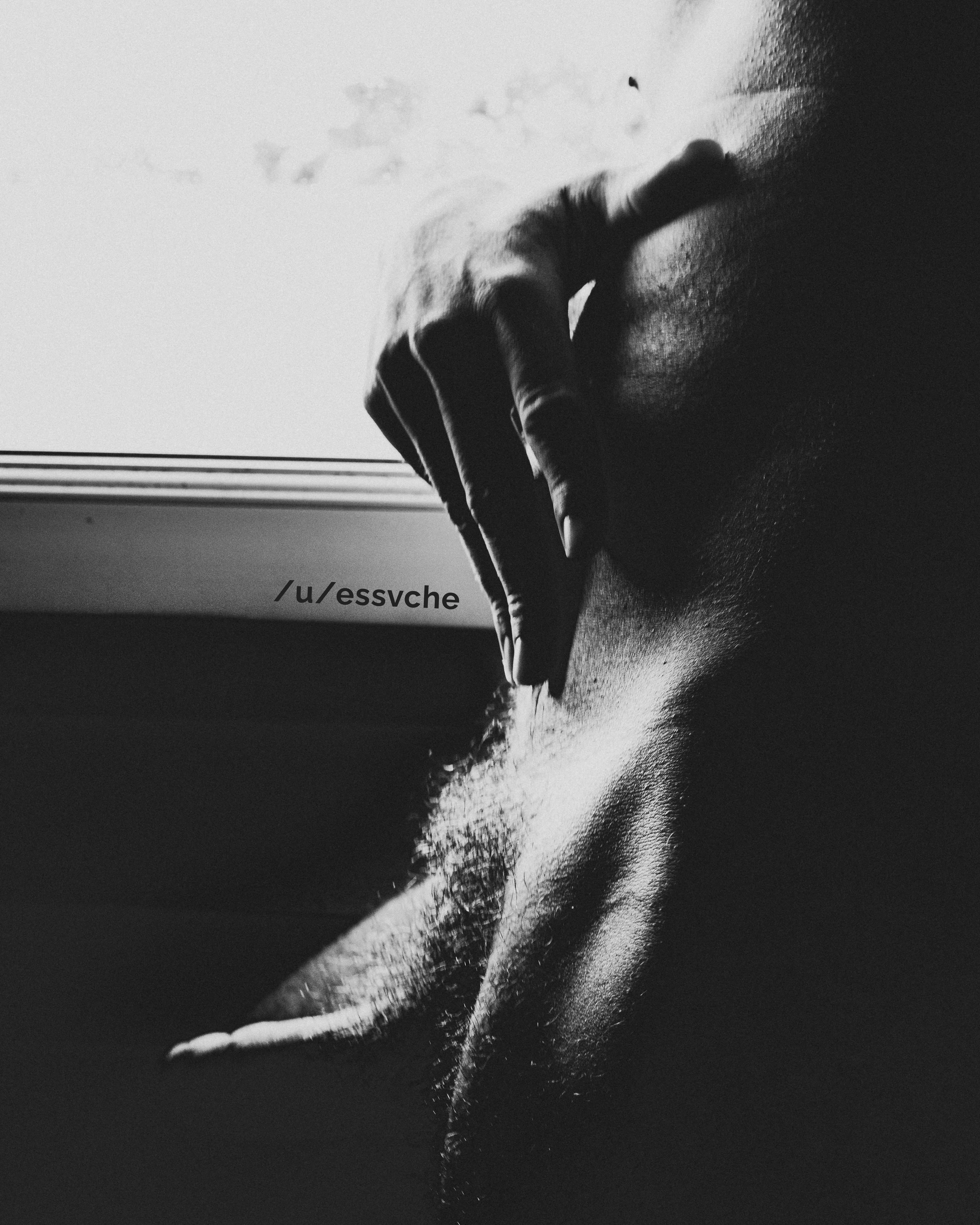 I like to get that morning sunlight I like to get that morning sunlight