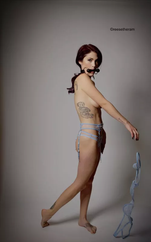 I like to sink my teeth into this gag. Will you make me bite down on it harder please?