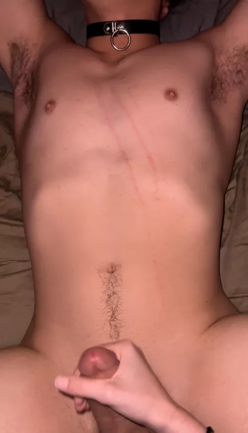 I love a boy with a collar