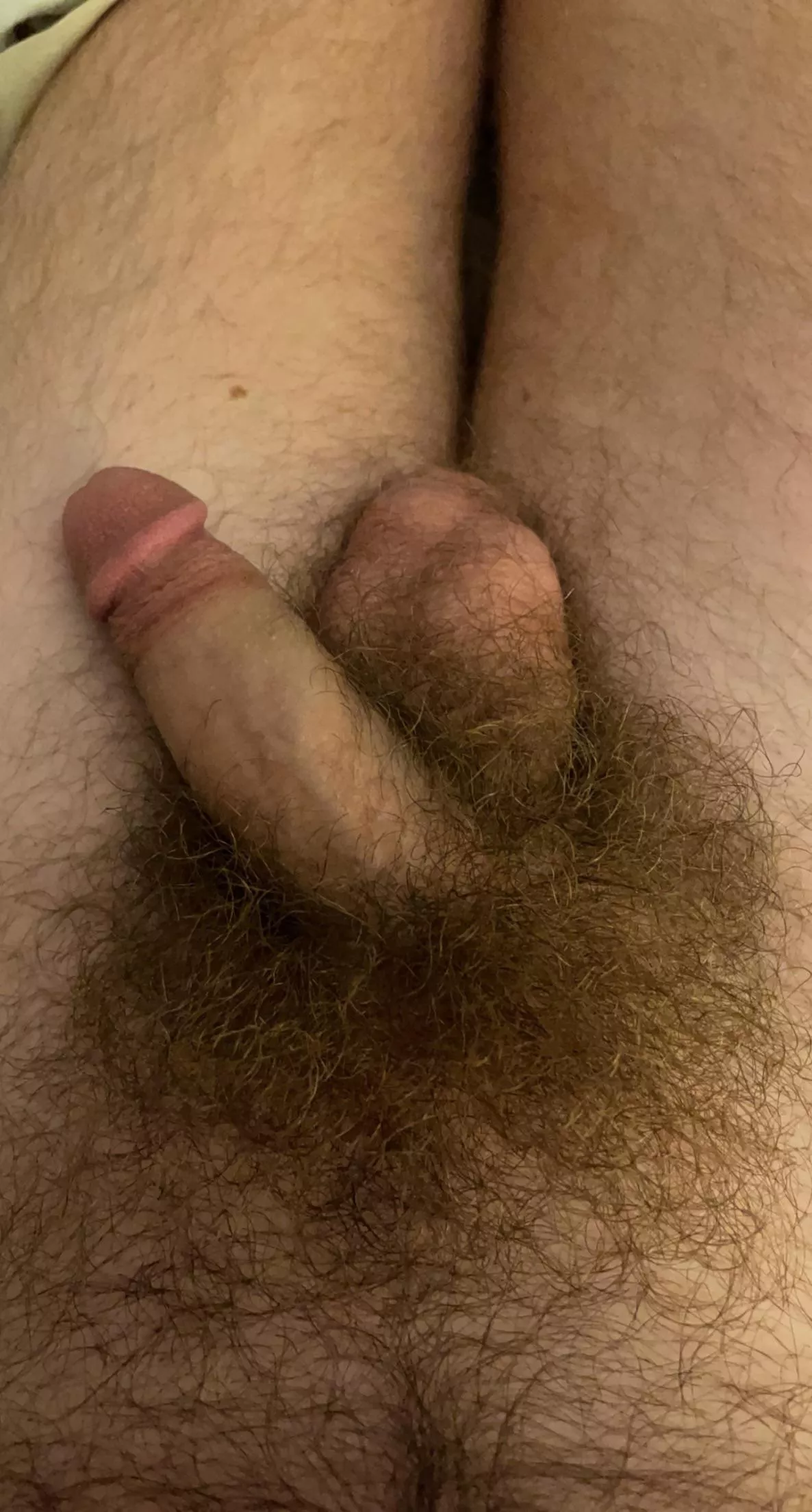 I love being hairy I love being hairy