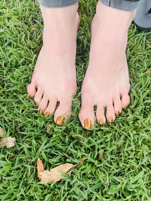 I love cool grass on summer days I love cool grass on summer days