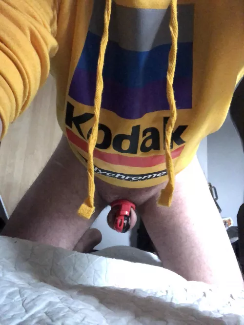 I love feeling cute with my chastity I love feeling cute with my chastity