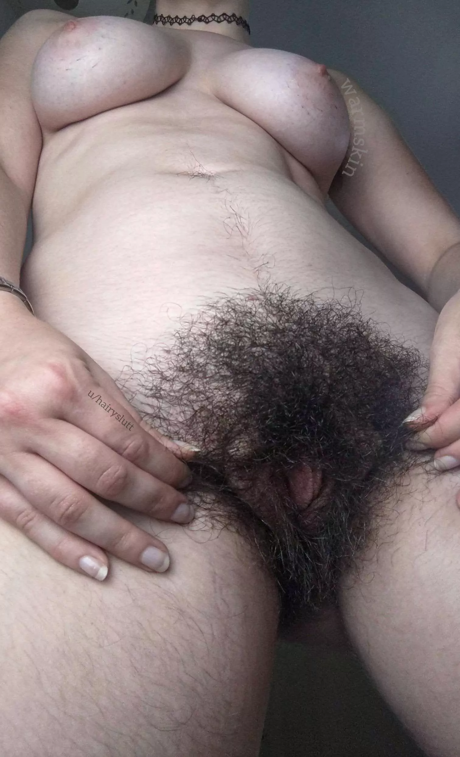 Viewed: 107 times. hairyslutt. 