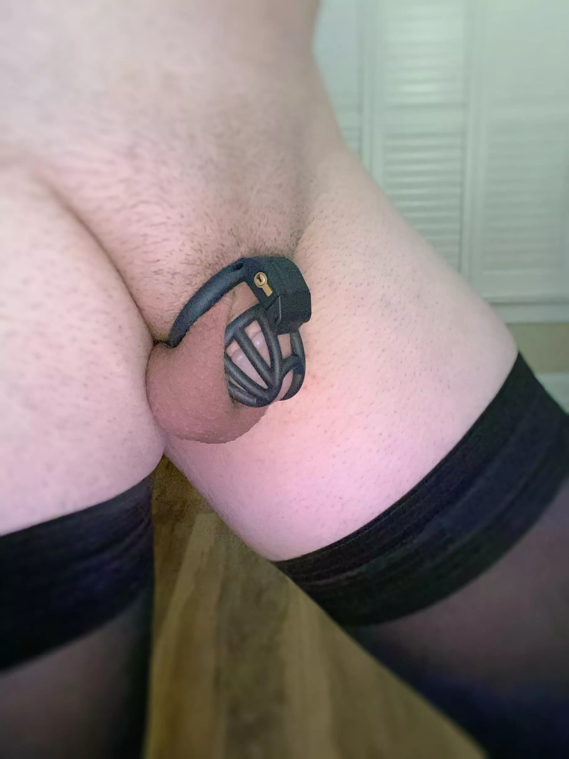 I love how cute my cage is!