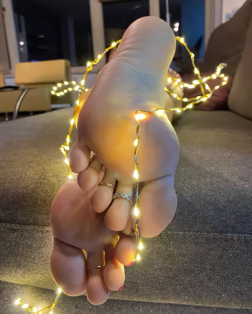 I love how the lights make them glisten ✨