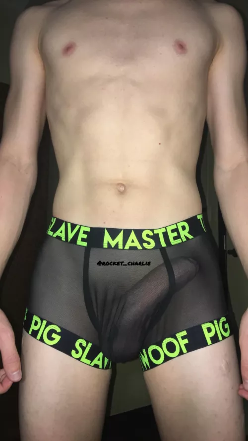 I love my donkey college dick 🥰