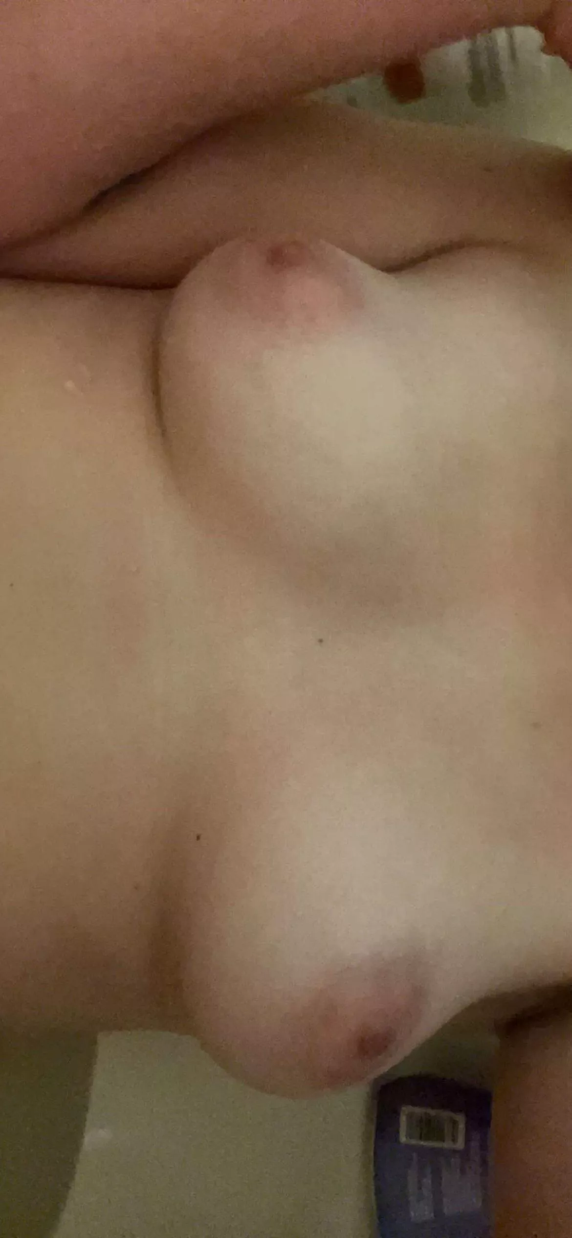 I love the way they look tody I love the way they look tody