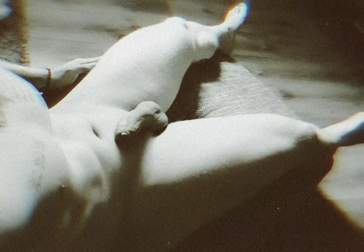 i love to be naked at home :)