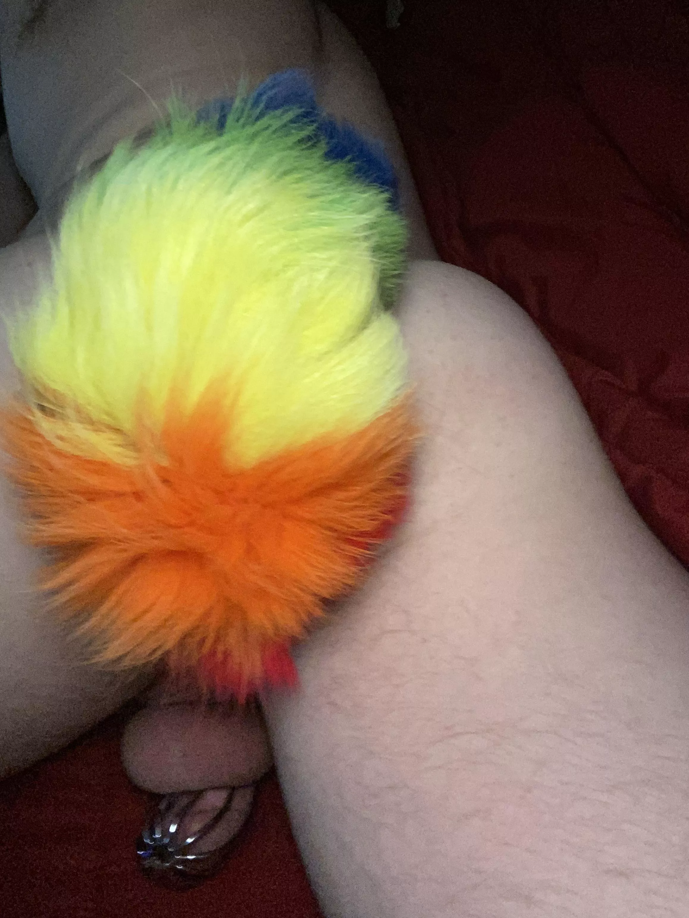 I love wearing my tail while being locked up 😌. It feels so natural l. I love wearing my tail while being locked up 😌. It feels so natural l.