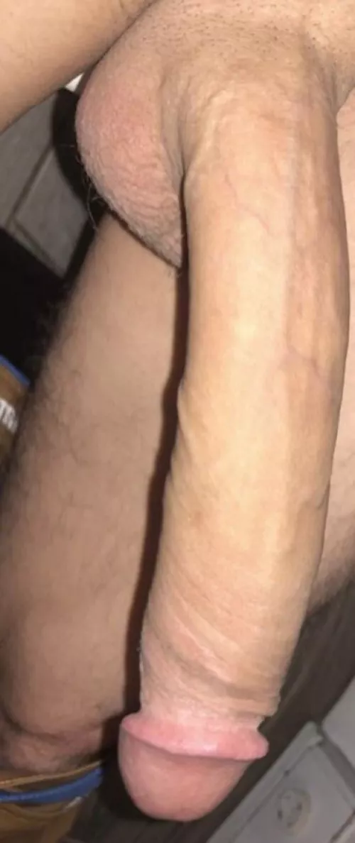 I Mean I THINK I Have A Big Dick 🍆🤔😜 I Mean I THINK I Have A Big Dick 🍆🤔😜