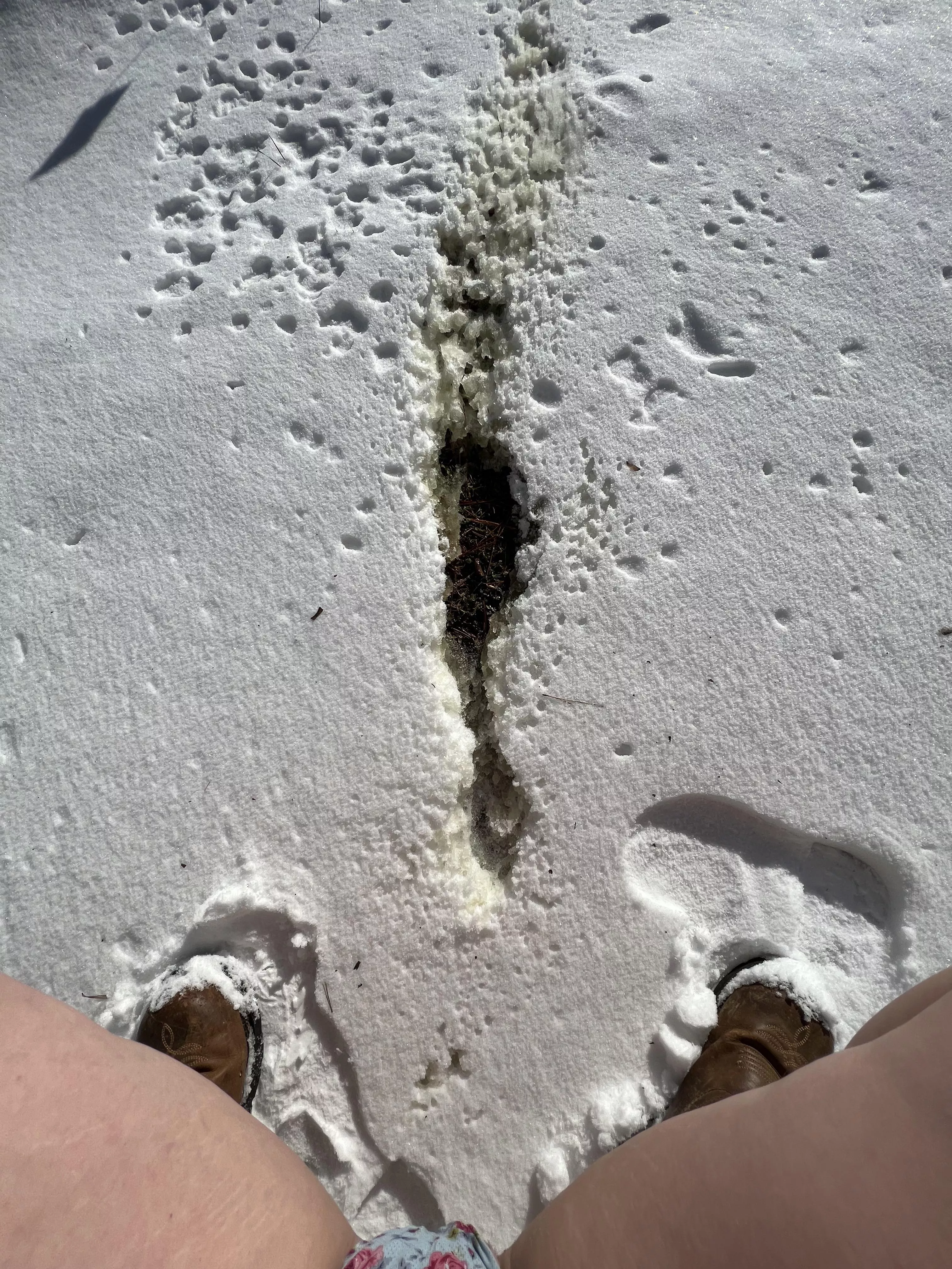 I melted some snow 😂