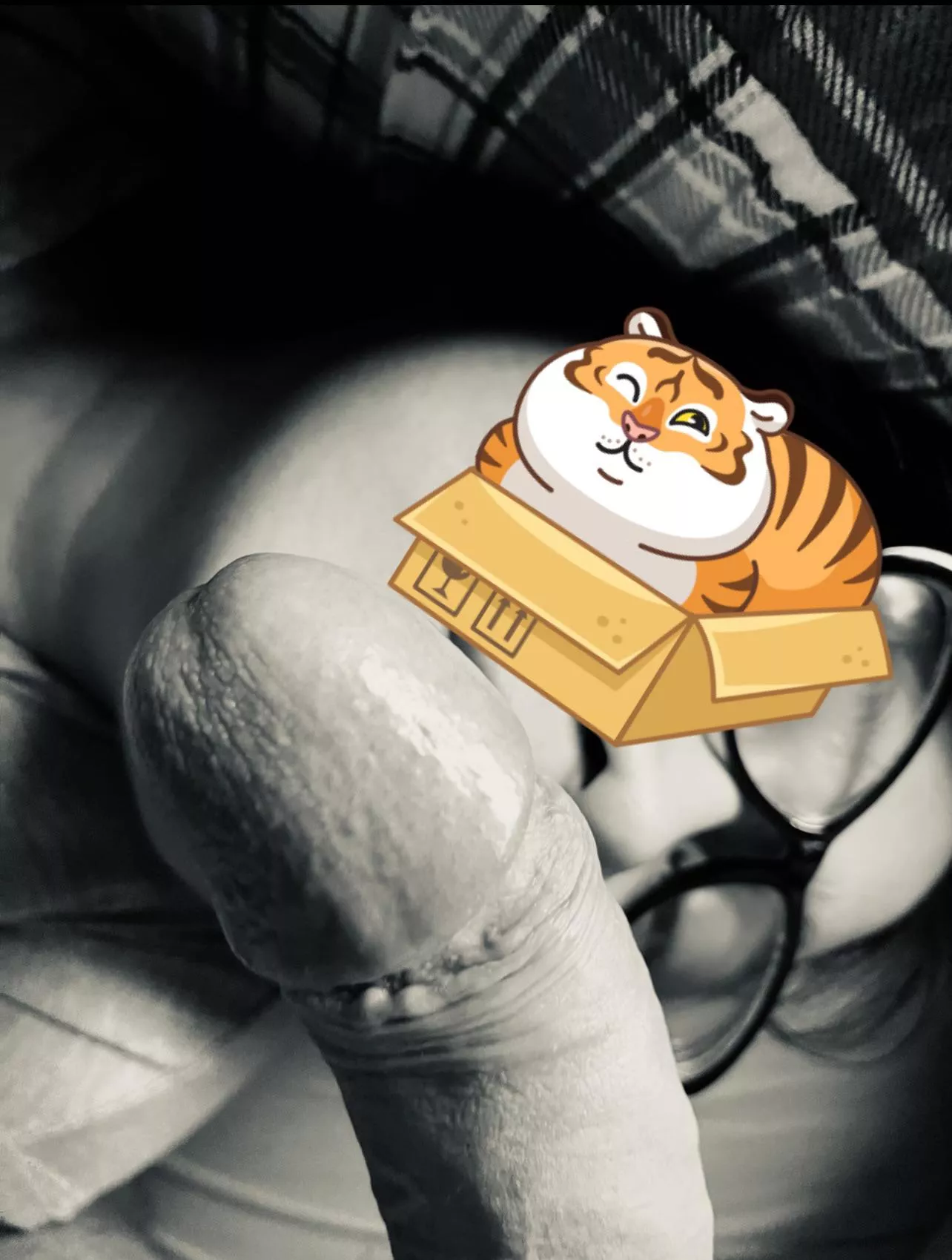 I (m)iss I (m)iss