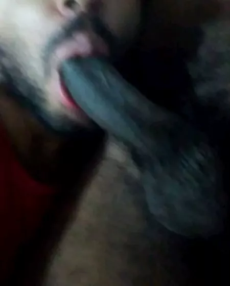 I miss this cock a Lot , the great Black supreme with a Lot of smeel I miss this cock a Lot , the great Black supreme with a Lot of smeel