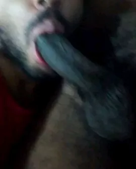 I miss this cock a Lot , the great Black supreme with a Lot of smeel I miss this cock a Lot , the great Black supreme with a Lot of smeel
