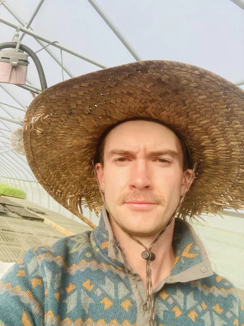 I mustache you a question I mustache you a question