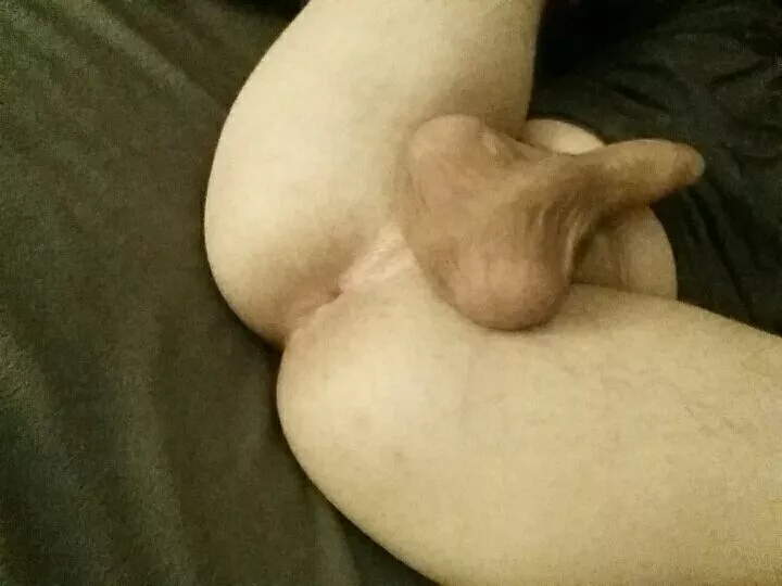 I need a hairy cock to breed me I need a hairy cock to breed me