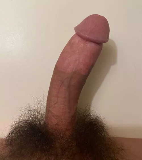I need a hand๐