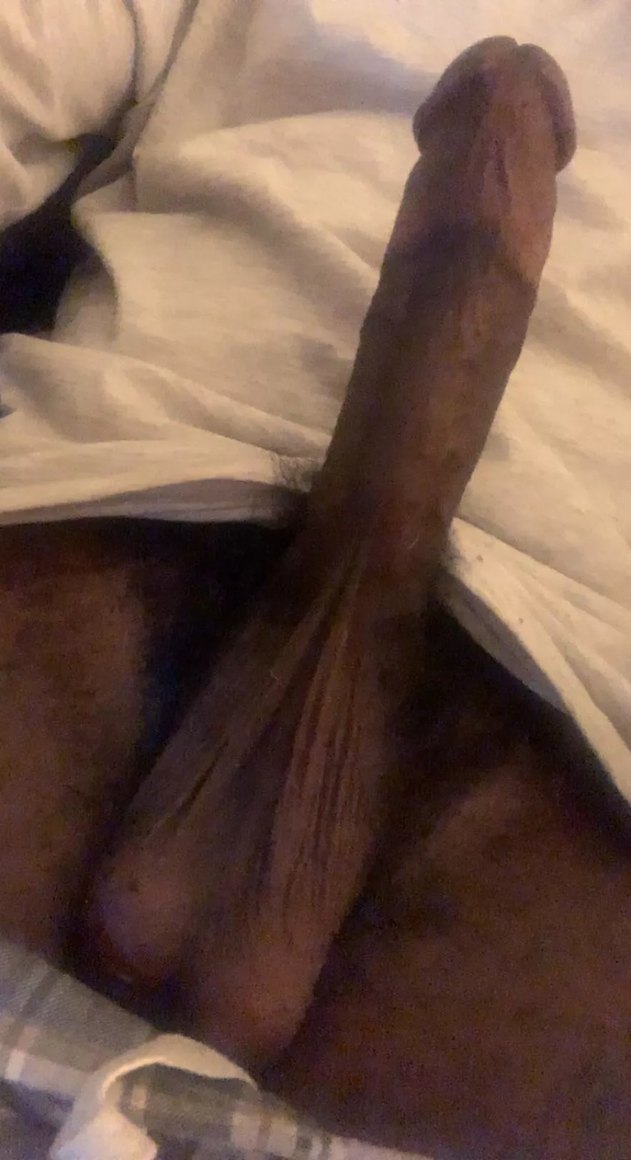 I need a throat to fuck I need a throat to fuck