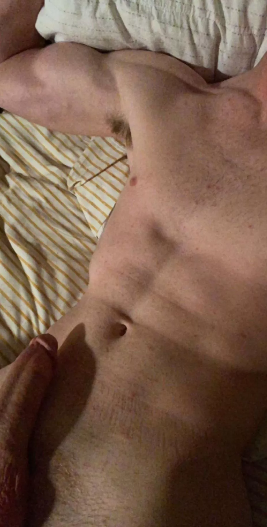 I need another cut one in the picture