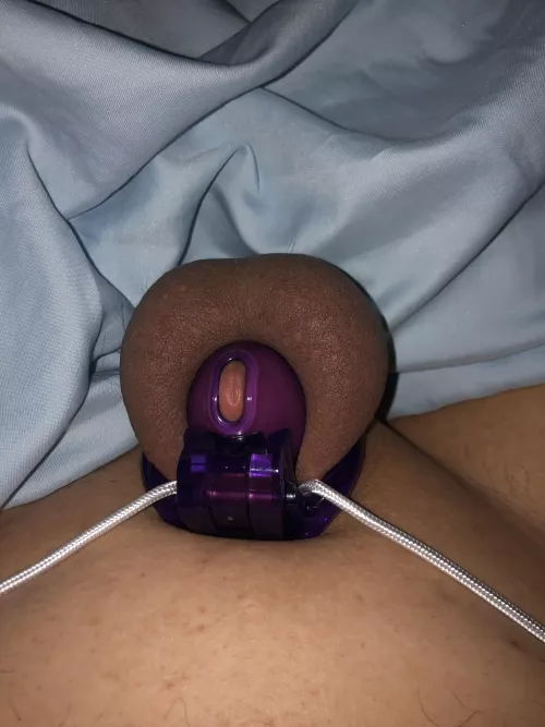 i need to be bred and milked plz sir i need to be bred and milked plz sir