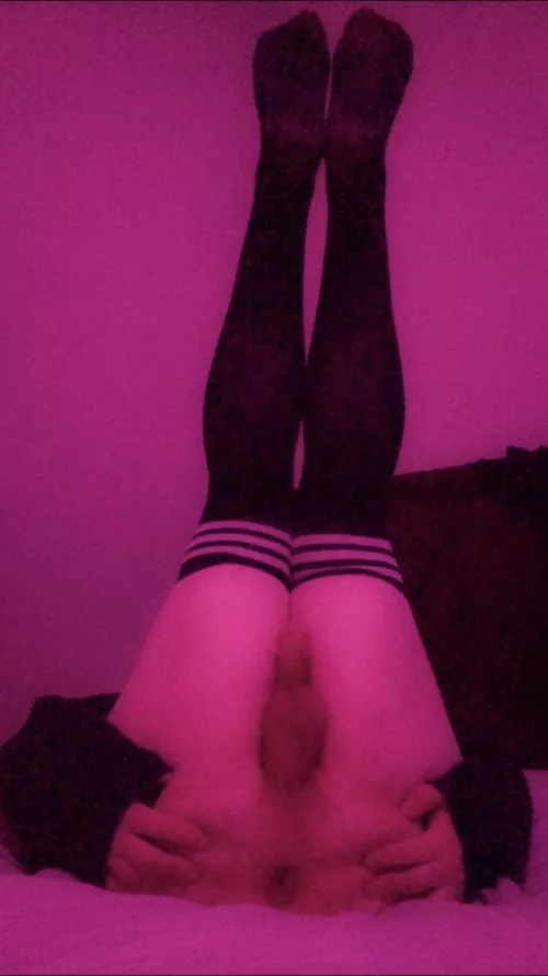 i need to be bred, could somebody help me ๐ฅบ