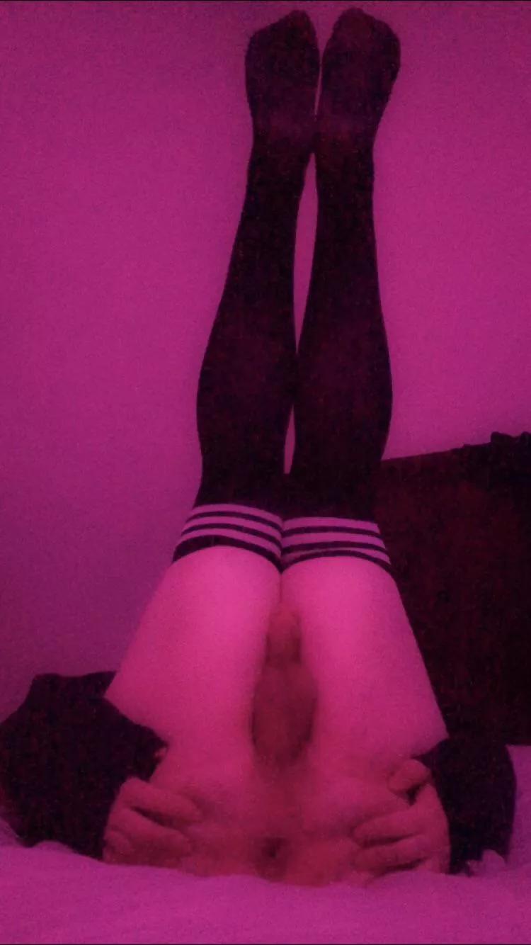 i need to be bred, could somebody help me ?