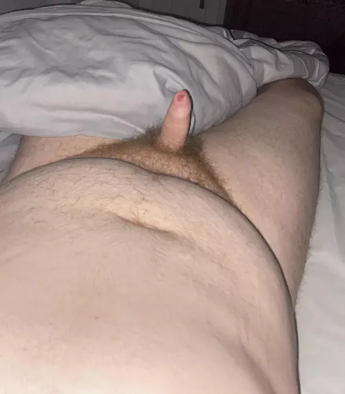 I need to shave, I know. Wanna help?