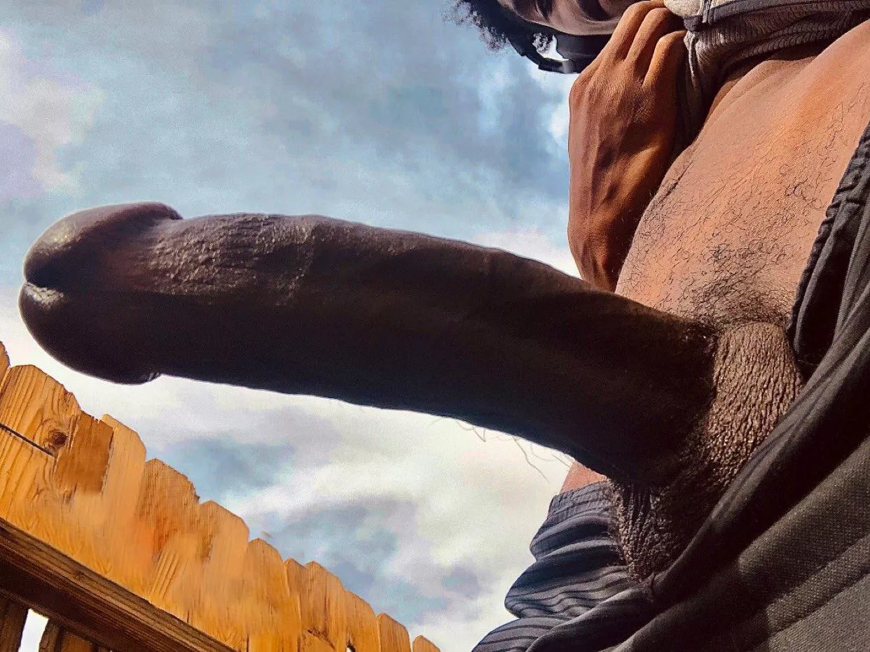 I paused My Run To Take This Pic