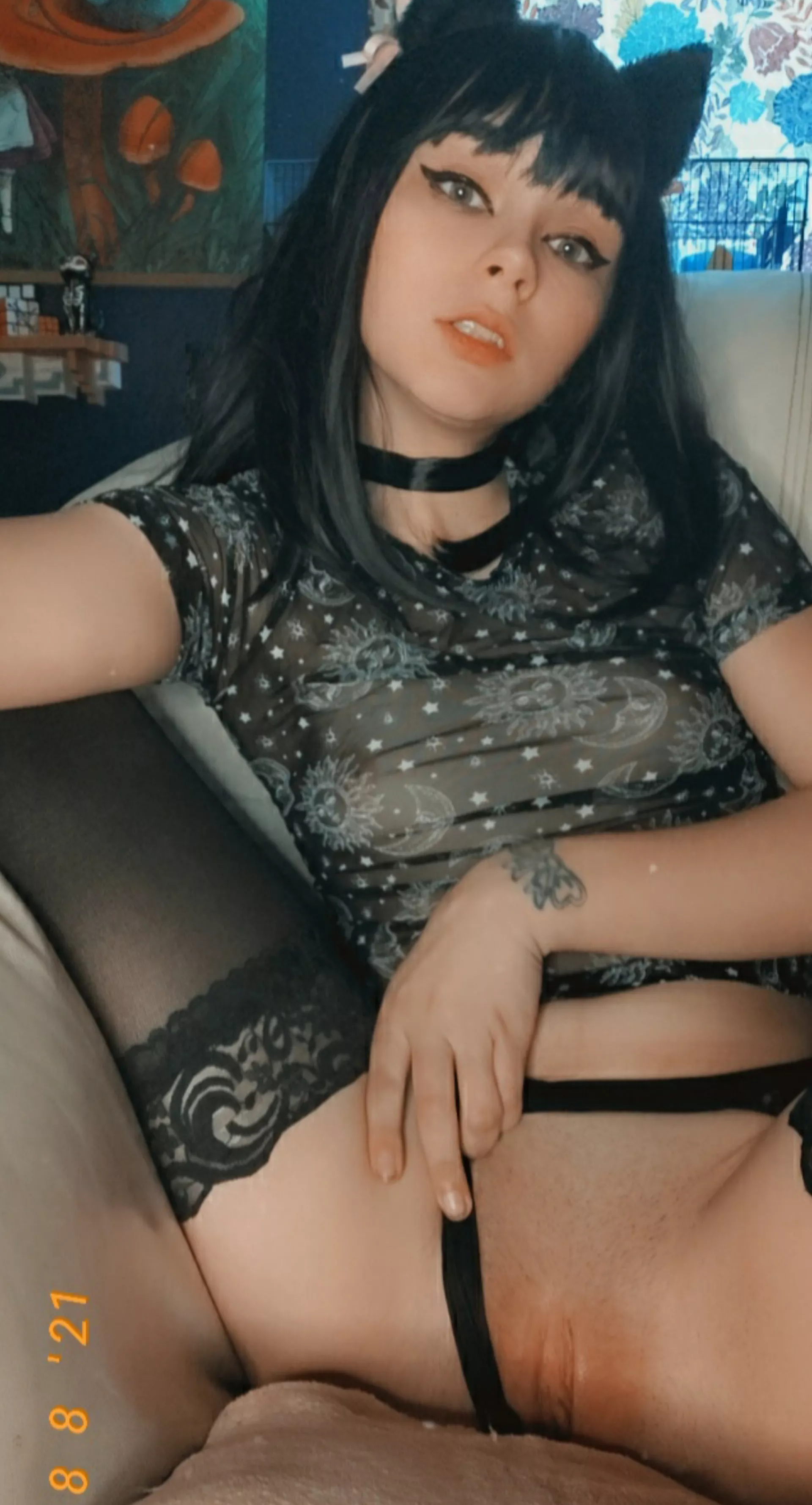 I promise I'll be a good kitty ?