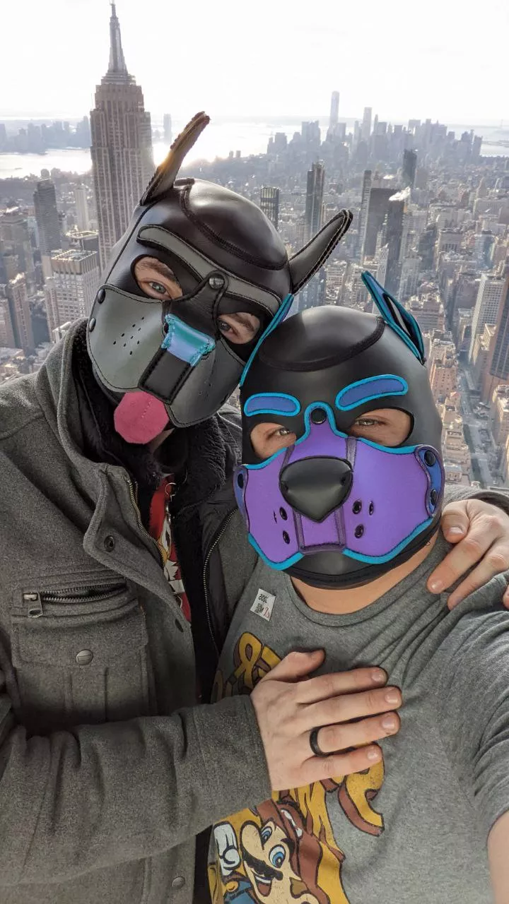 I proposed and puppy said yes