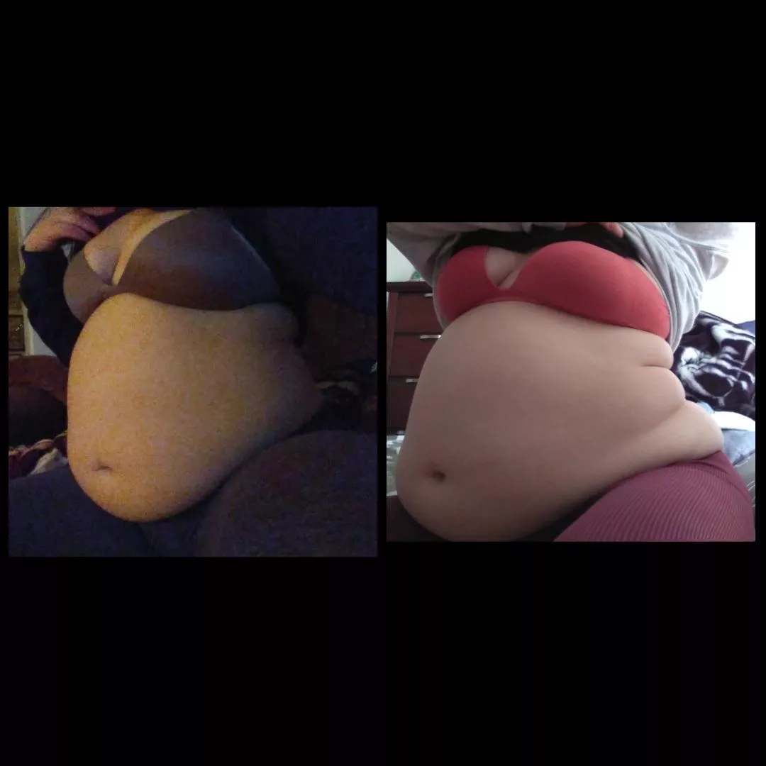 I really didn't think I gained that much weight...