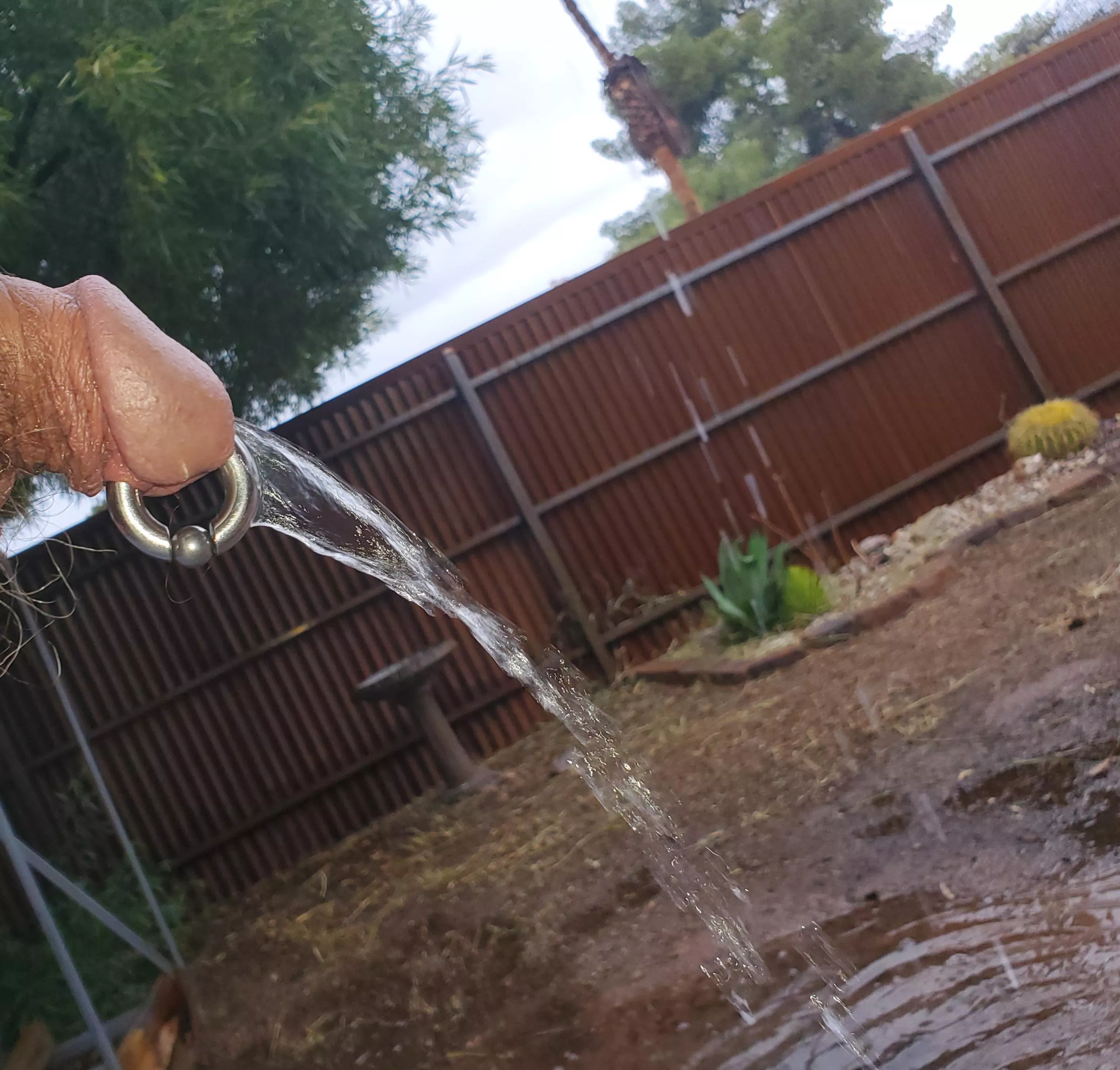 I really wanna play outside in the rain, but need someone to play with. 😩 I really wanna play outside in the rain, but need someone to play with. 😩