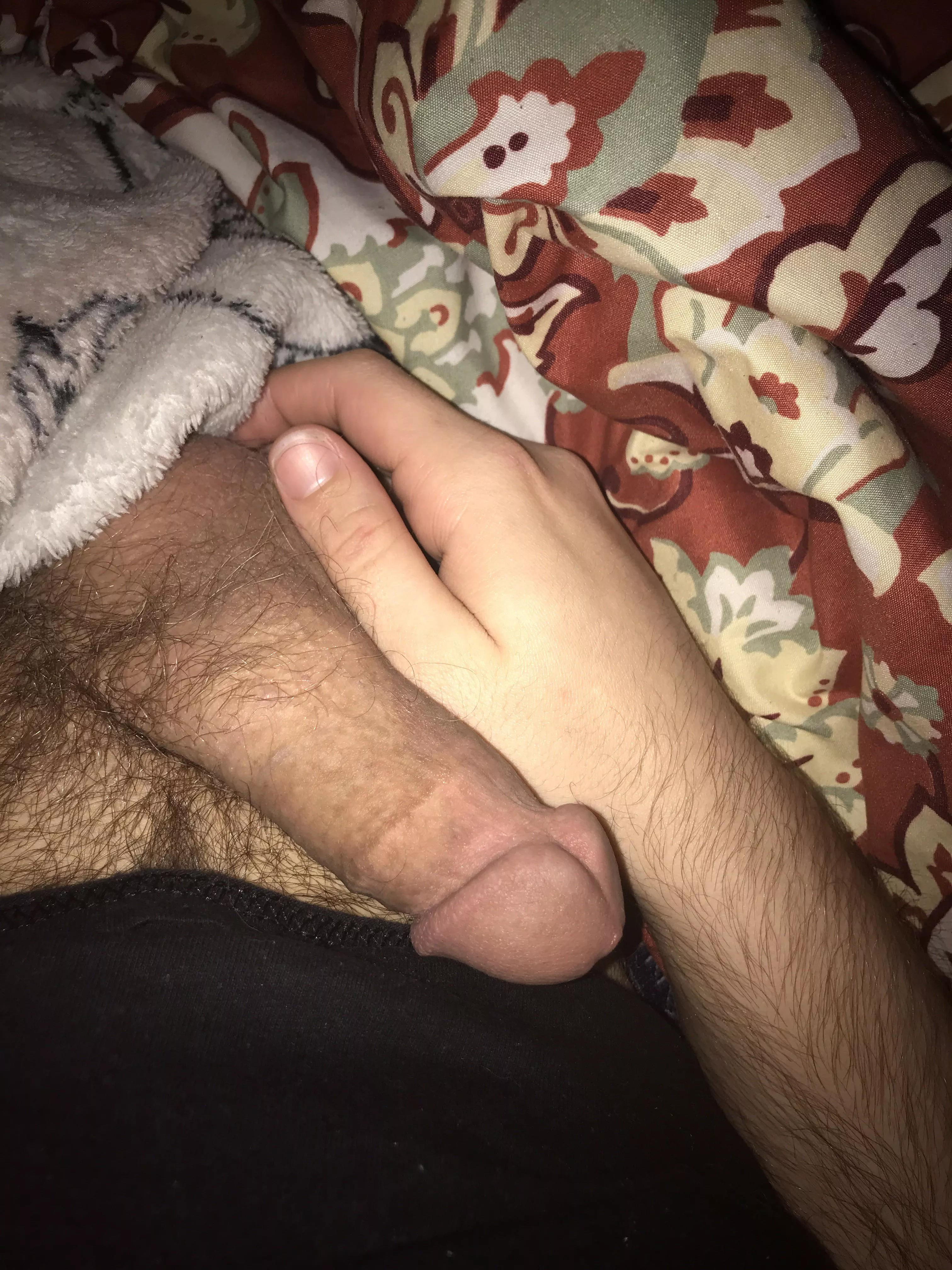 I recently trimmed and I already miss my bush. It should be halfway back this week or so