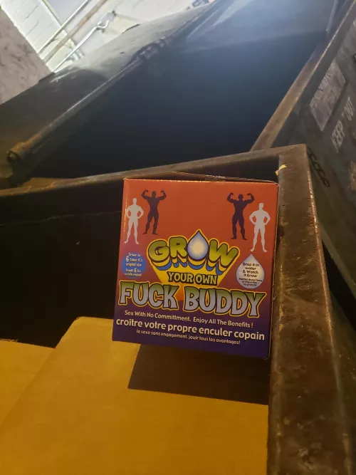 I saw this in the dumpster last night.