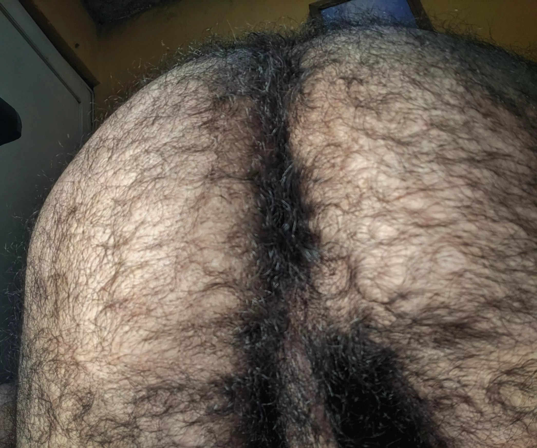 I sometimes forget how hairy my butt really is