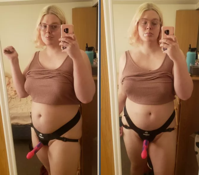 i spent too much on this harness