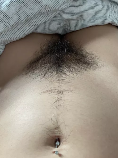 I think my bush is trying to send a message ⬆️