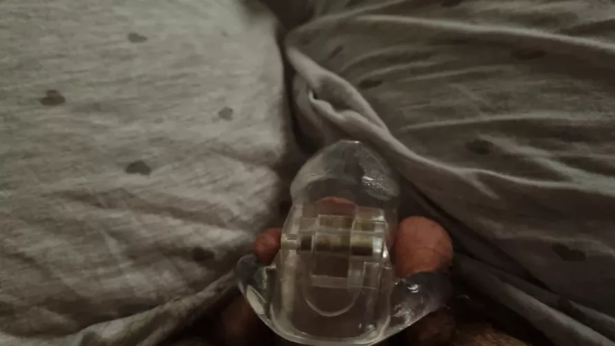 I think my girlcock might be too small for this cage π³. Feel free to add to my chastity sentence at the link in the comments π·π