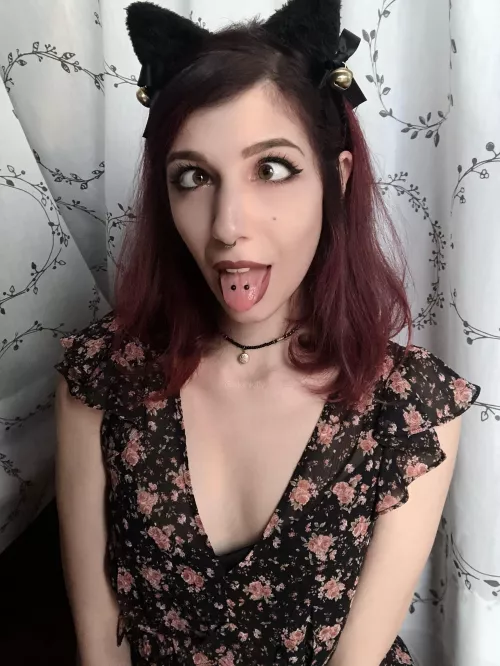 I wanna be your favorite pierced kitty I wanna be your favorite pierced kitty