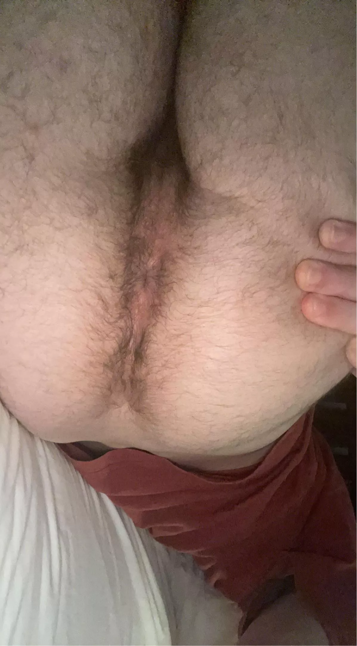 I wanna spend all day in bed with a bro teasing each other’s holes