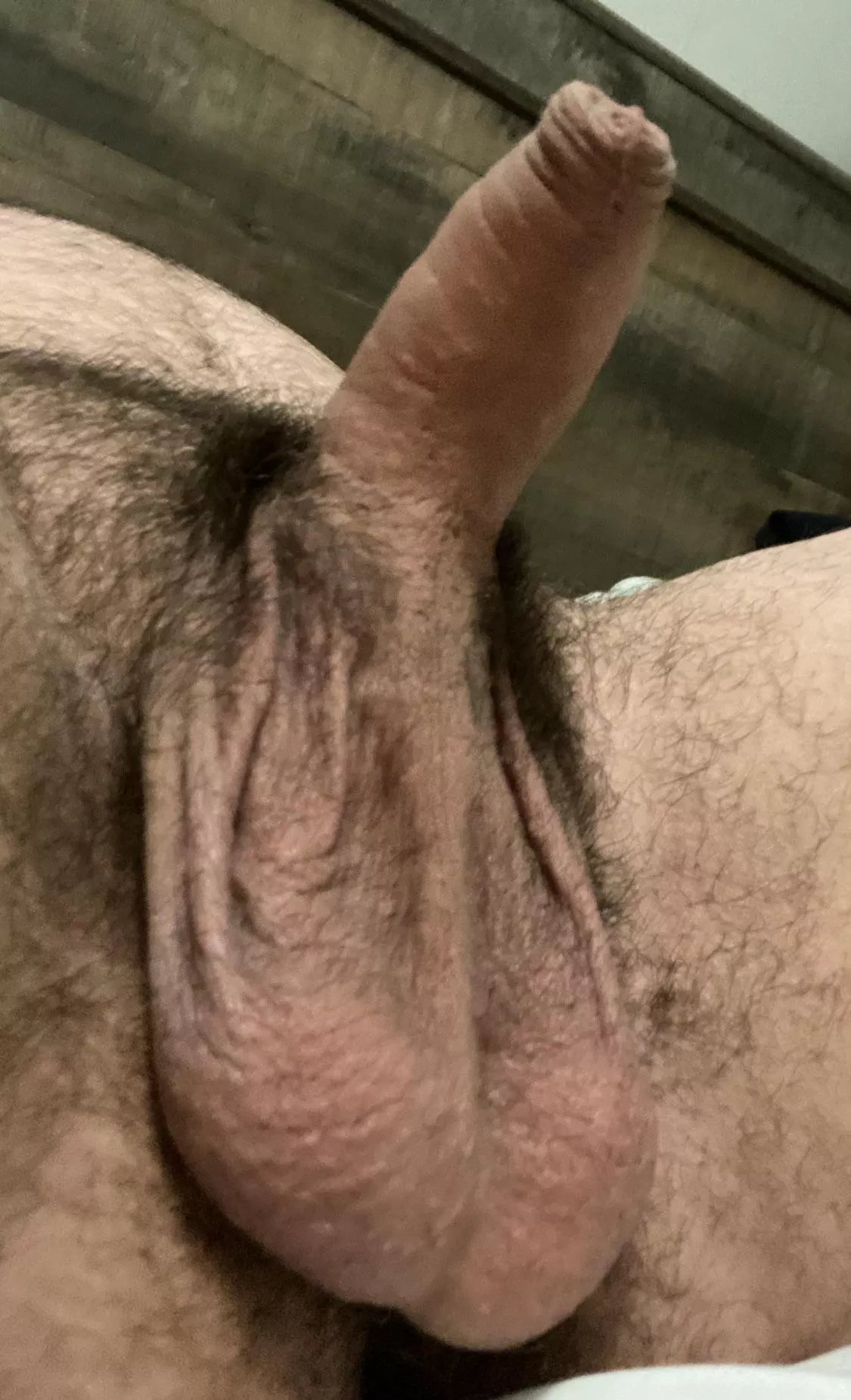 I want someone to suck my lil pp (26)