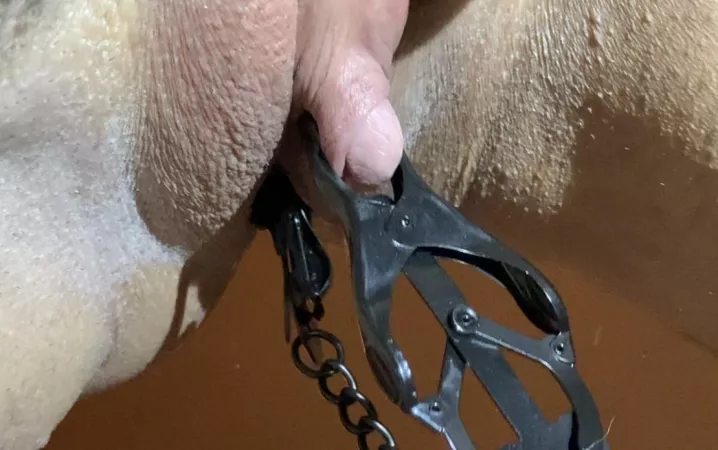 I want to feel my clit being twisted and slapped so hard today ?