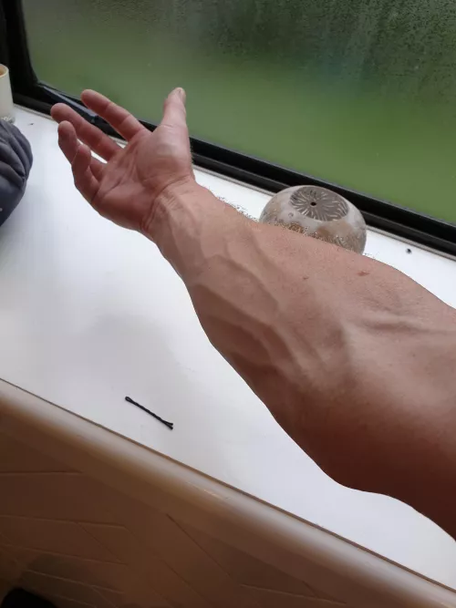 I was having a good forearm day I was having a good forearm day