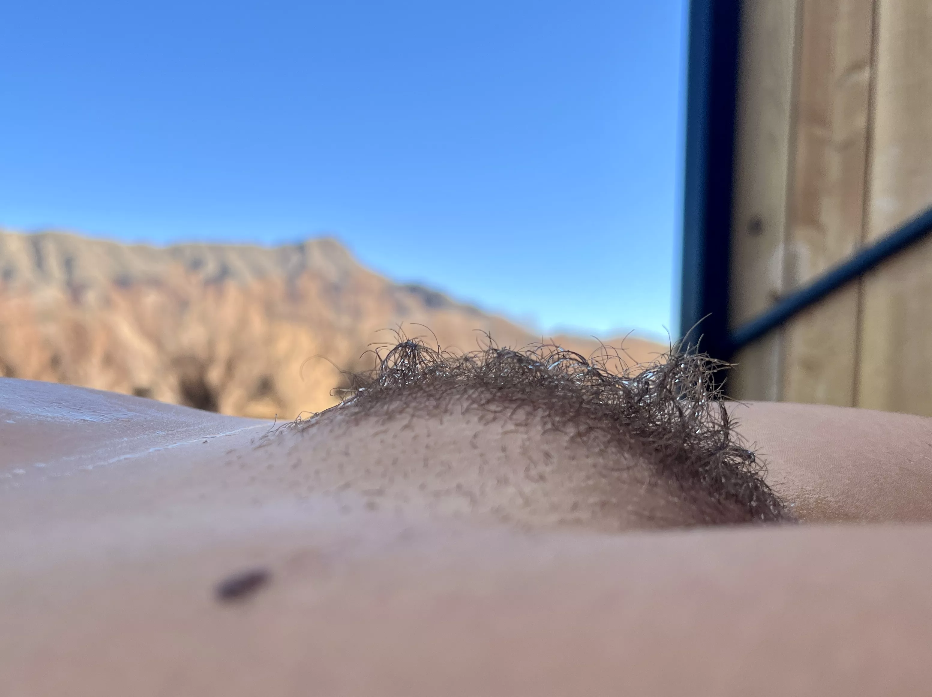 I was trying to match the mountains. What do you think of my mohawk?