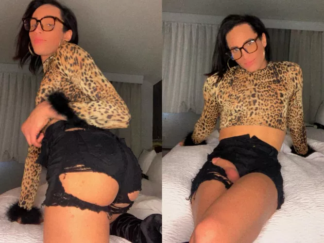 I wish i had a nice warm mouth or ass to put my big shemale cock in 🍑🍆